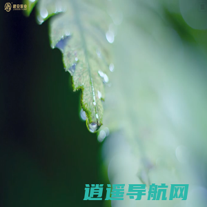 单级离心泵-不锈钢自吸泵-磁力驱动泵-化工液下泵-建安泵业