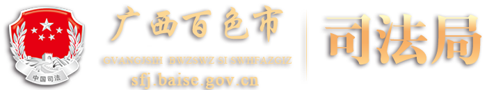 广西百色市司法局网站 - sfj.baise.gov.cn