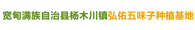 宽甸满族自治县杨木川镇弘佑五味子种植基地