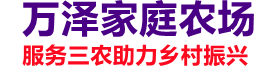 水蛭养殖,蚂蟥养殖,如皋万泽水蛭养殖基地提供水蛭苗,养殖蚂蟥技术