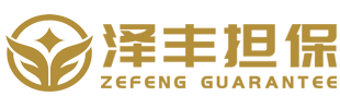 四川泽丰非融资性担保有限公司