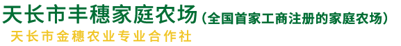 水稻-天长市丰穗家庭农场