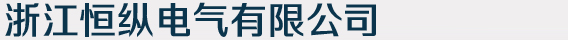 插卡式电表,ic卡电表,预付费电表,预付费水表-浙江恒纵电气有限公司